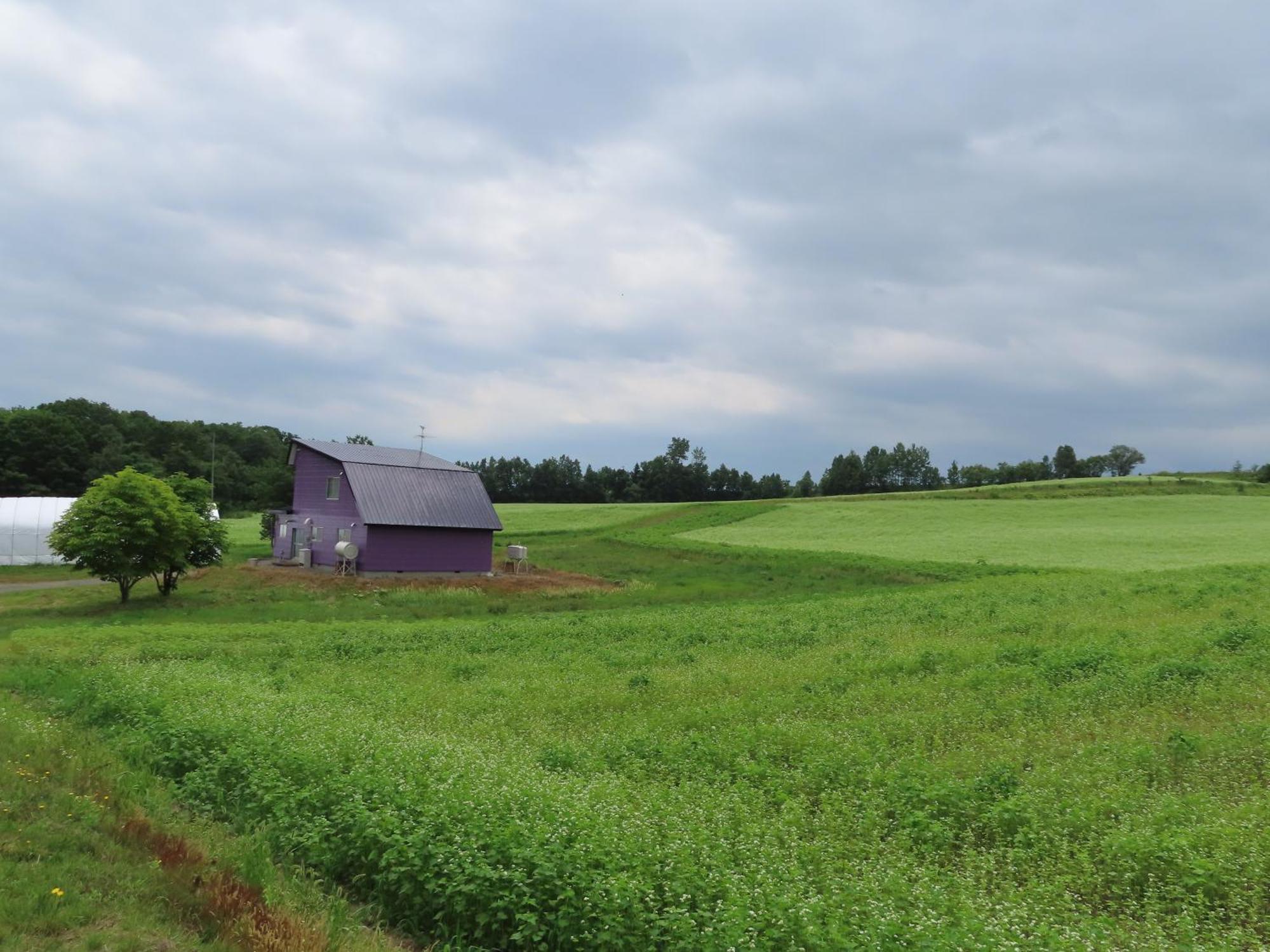 Cottage Clover Biei Exterior photo